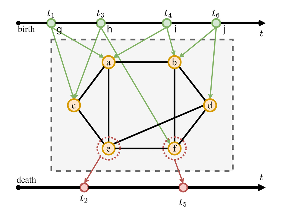 Information Dynamics in Evolving Networks